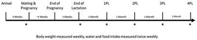 Pregnancy and Lactation in Sprague-Dawley Rats Result in Permanent Reductions of Tibia Trabecular Bone Mineral Density and Structure but Consumption of Red Rooibos Herbal Tea Supports the Partial Recovery